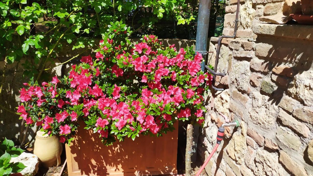 Il Giardino Della Fortezza Montepulciano Exterior photo